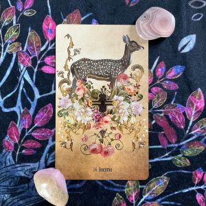 Unlocking the Secret Garden Oracle - Ảnh 11