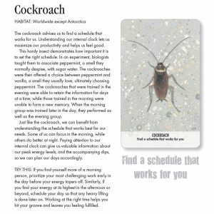 Unusual Animal Messages Oracle - Ảnh 10