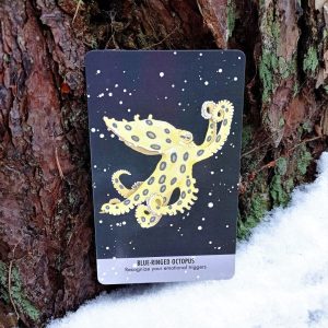 Unusual Animal Messages Oracle - Ảnh 3