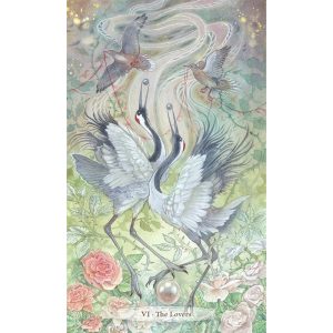Verdance Tarot - Ảnh 4