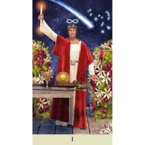 Vice Versa Tarot Kit - Ảnh 3