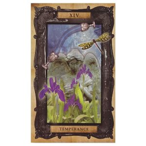 Victorian Steampunk Tarot - Ảnh 7