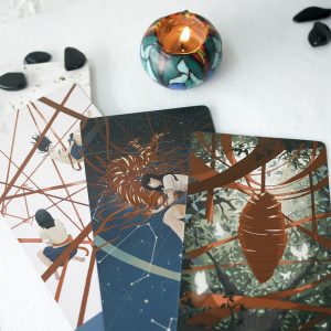 Visionary Enlightenment Cards - Ảnh 6