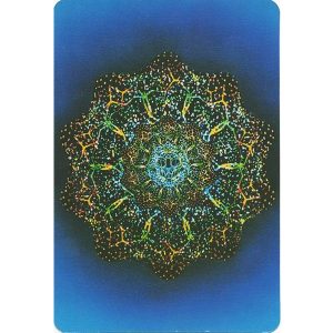 Voyager Tarot - Ảnh 5