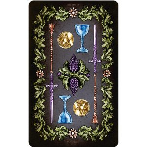 Way Seekers Tarot - Ảnh 9