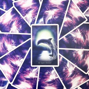 Whispers of the Dolphin Heart Oracle - Ảnh 10