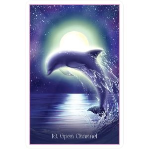 Whispers of the Dolphin Heart Oracle - Ảnh 4
