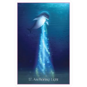 Whispers of the Dolphin Heart Oracle - Ảnh 8