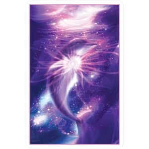 Whispers of the Dolphin Heart Oracle - Ảnh 9