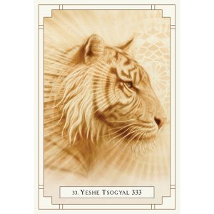 White Light Oracle - Ảnh 6