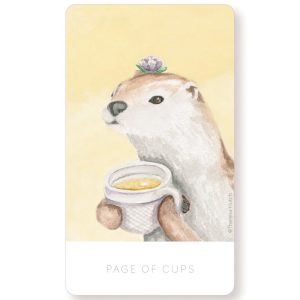 White Sage Tarot - Ảnh 5