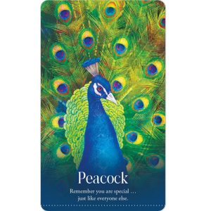 Wild Dreams Animal Oracle - Ảnh 3