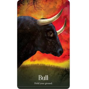 Wild Dreams Animal Oracle - Ảnh 5