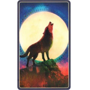 Wild Dreams Animal Oracle - Ảnh 9