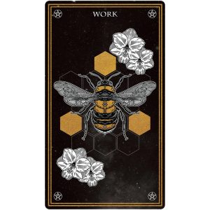 Wild Mystic Oracle - Ảnh 3