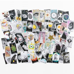 Wild Unknown Animal Spirit Deck - Pocket Edition - Ảnh 6
