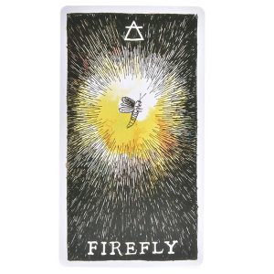 Wild Unknown Animal Spirit Deck - Pocket Edition - Ảnh 3