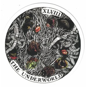 Wild Unknown Archetypes Deck - Ảnh 4