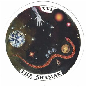 Wild Unknown Archetypes Deck - Ảnh 7