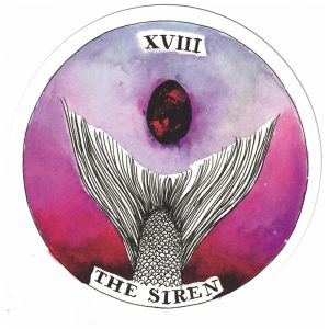 Wild Unknown Archetypes Deck - Ảnh 8
