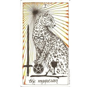 Wild Unknown Tarot - Ảnh 8