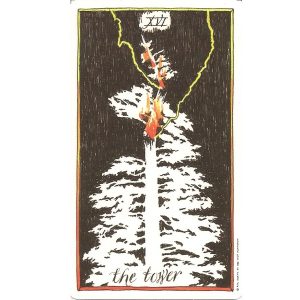 Wild Unknown Tarot - Ảnh 7