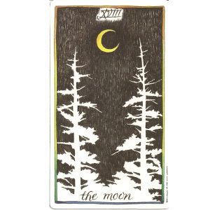 Wild Unknown Tarot - Ảnh 6