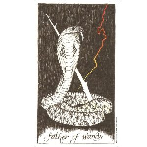 Wild Unknown Tarot - Ảnh 5