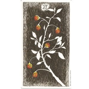 Wild Unknown Tarot - Ảnh 4