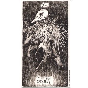 Wild Unknown Tarot - Ảnh 3