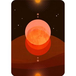 Wild Whispers Oracle - Ảnh 7