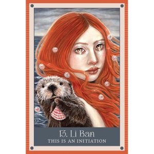 Wild Witch Oracle - Ảnh 4