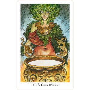 Wildwood Tarot - Ảnh 8