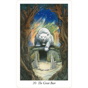 Wildwood Tarot - Ảnh 7