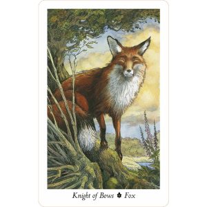 Wildwood Tarot - Ảnh 5
