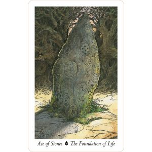 Wildwood Tarot - Ảnh 3