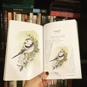 Winterseer Animal Oracle - Ảnh 9