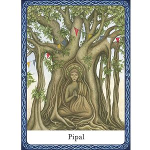 Wisdom of Trees Oracle - Ảnh 6