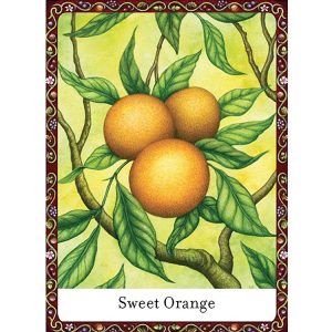 Wisdom of Trees Oracle - Ảnh 8