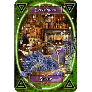 Witches Kitchen Oracle Cards - Ảnh 4
