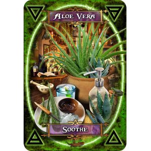 Witches Kitchen Oracle Cards - Ảnh 8