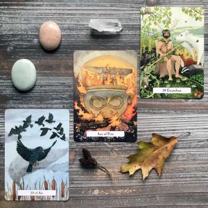 Witches' Wisdom Tarot - Ảnh 11