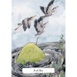 Witches' Wisdom Tarot - Ảnh 4