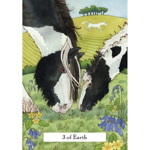 Witches' Wisdom Tarot - Ảnh 7