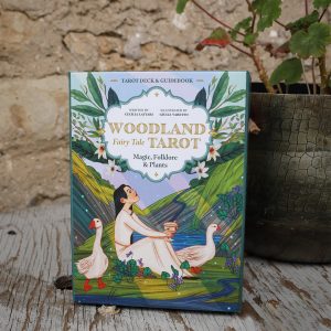 Woodland Fairy Tale Tarot - Ảnh 13