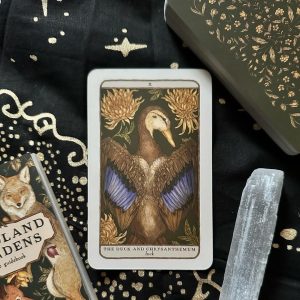 Woodland Wardens Oracle - Ảnh 10