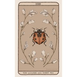Woodland Wardens Oracle - Ảnh 7