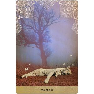 Yogic Path Oracle - Ảnh 5