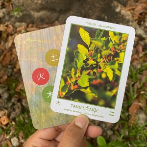 Five Elements Journey Oracle - Ảnh 9