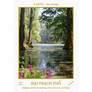 Five Elements Journey Oracle - Ảnh 5